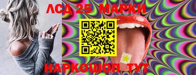 МДПВ Можга