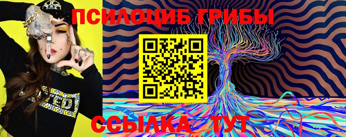 Псилоцибиновые грибы Psilocybe Ярославль