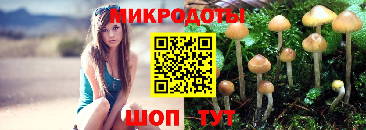 Ярославль  Псилоцибиновые грибы Cubensis  Вход с VPN  купить наркотик  Галлюциногенные грибы мицелий 